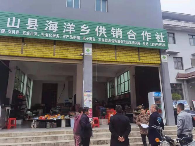 区县工作与重庆市供销合作总社 重庆技术咨询服务的协同实践